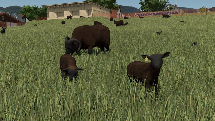 FS25 - Animal Package Vanilla Edition