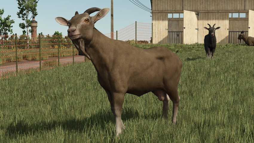 FS25 - Animal Package Vanilla Edition