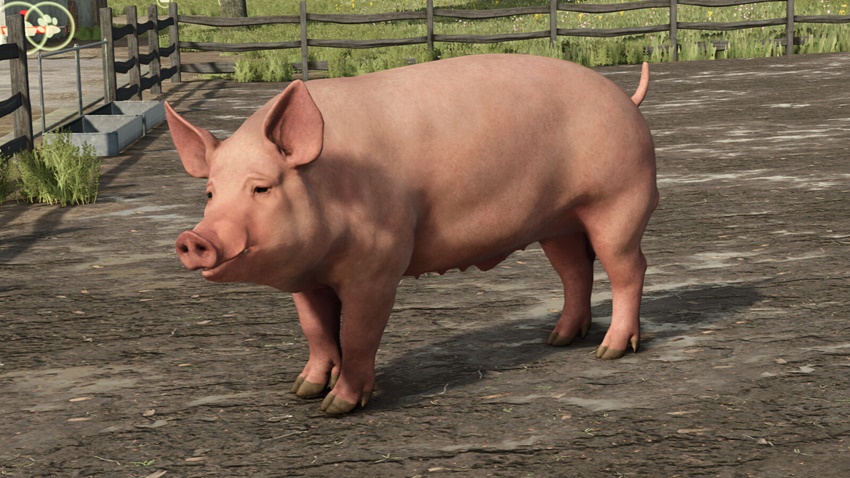 FS25 - Animal Package Vanilla Edition