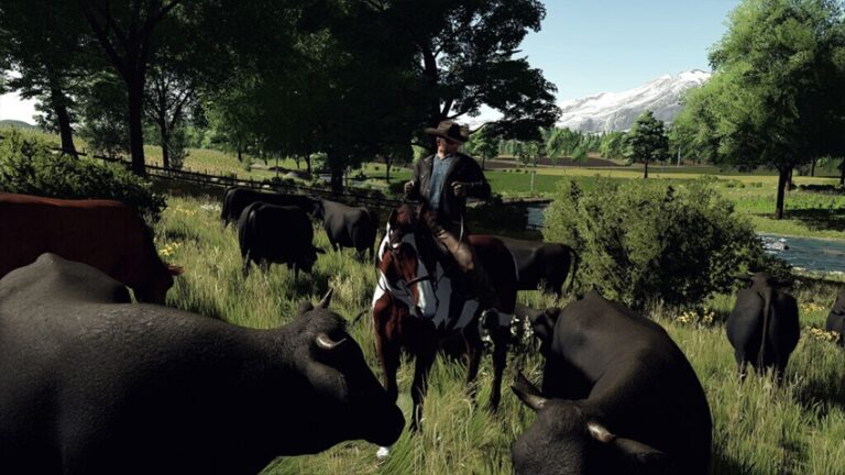 FS22 – The Ranch, Colorado Crossplay Map V1.0